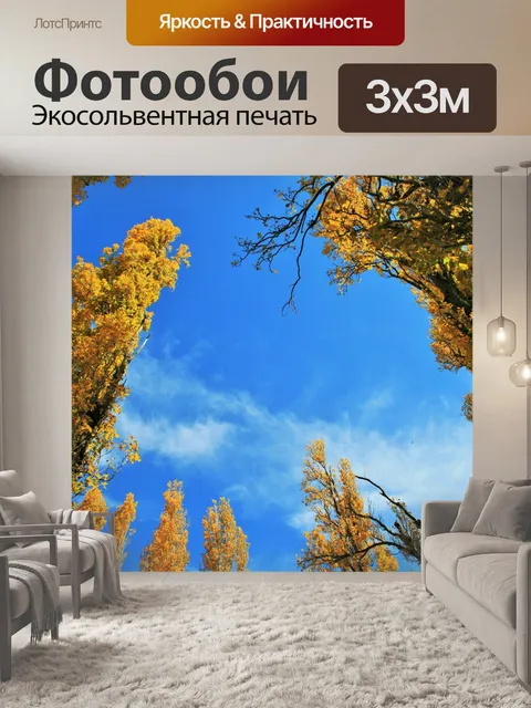 Фотообои желтые тополя в голубом небе