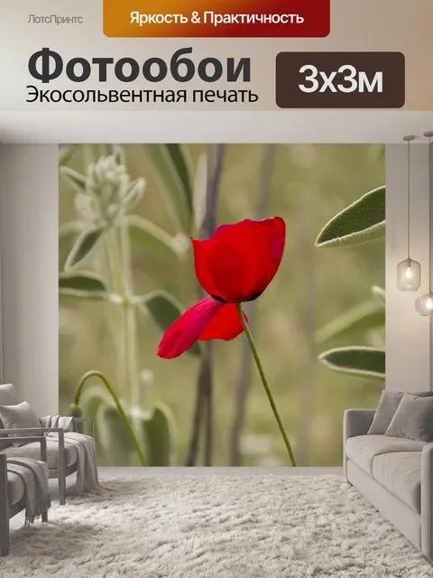Фотообои Цветок