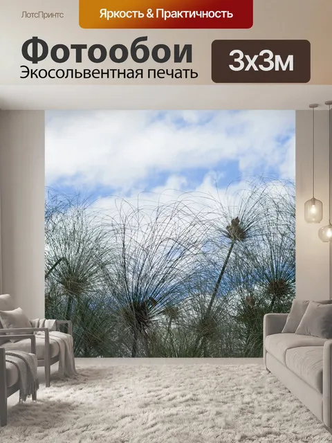 Фотообои перья папируса на фоне неба