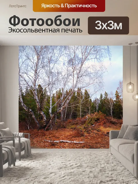 Фотообои Осенний лес