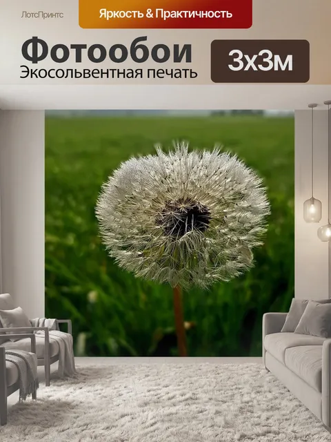 Фотообои Одуванчик