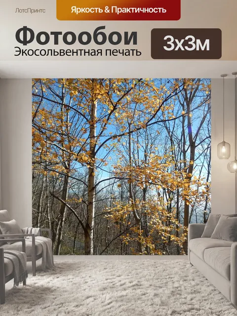 Фотообои Береза
