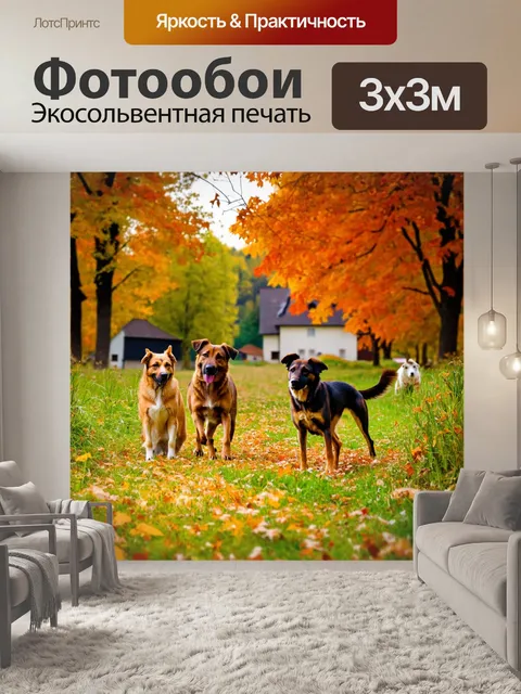 Фотообои осень — мирное утро в деревне с пастушьими собаками