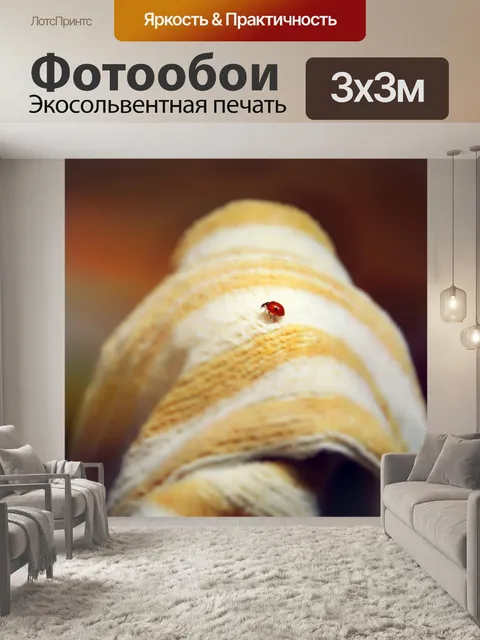 Фотообои божья коровка
