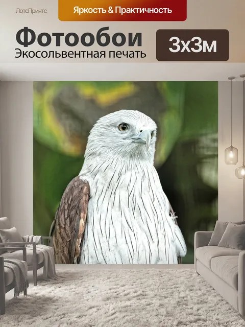 Фотообои Брамини кайт