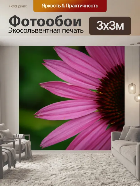 Фотообои Красная шляпа солнца
