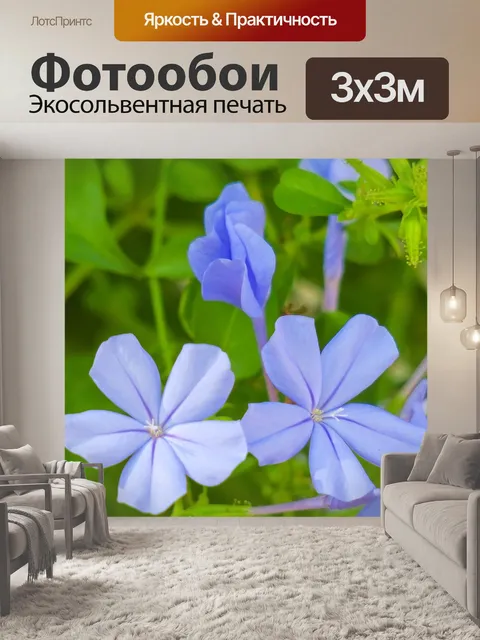 Фотообои Голубой цветок дэн