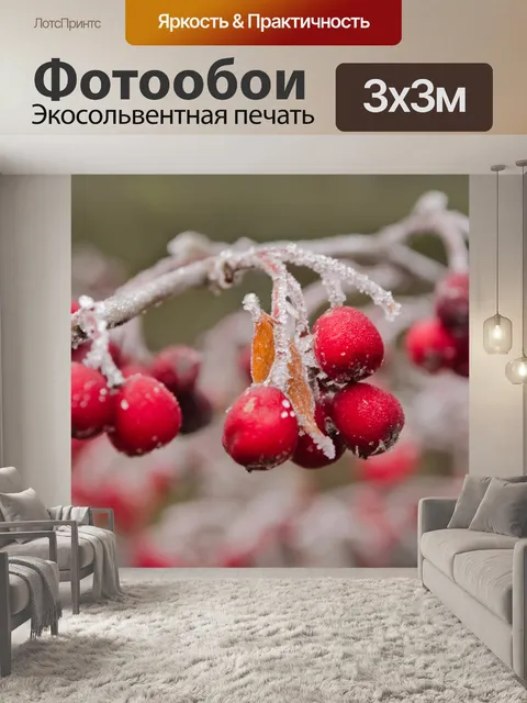 Фотообои Красные ягоды зимой