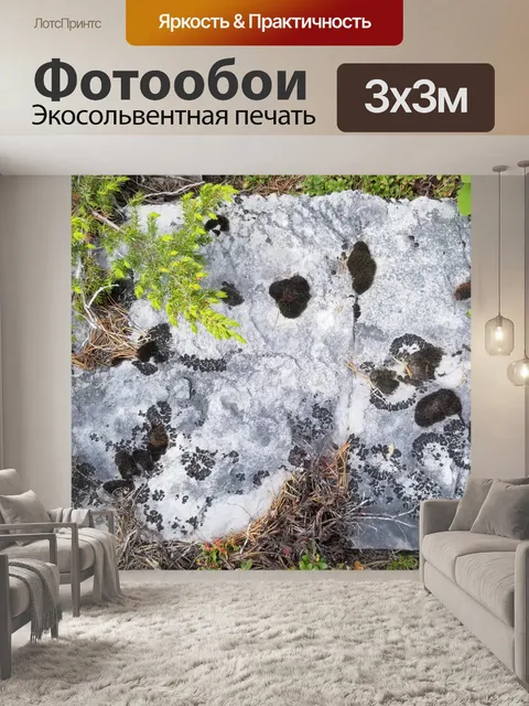 Фотообои Покрытая мхом скала