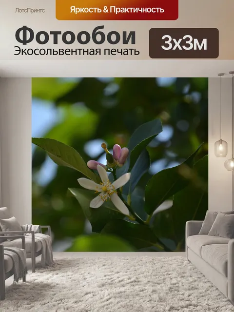 Фотообои Макросъемка