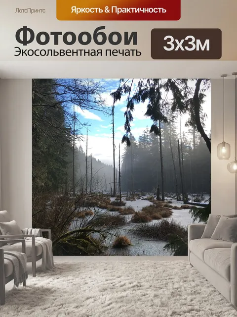 Фотообои Болото