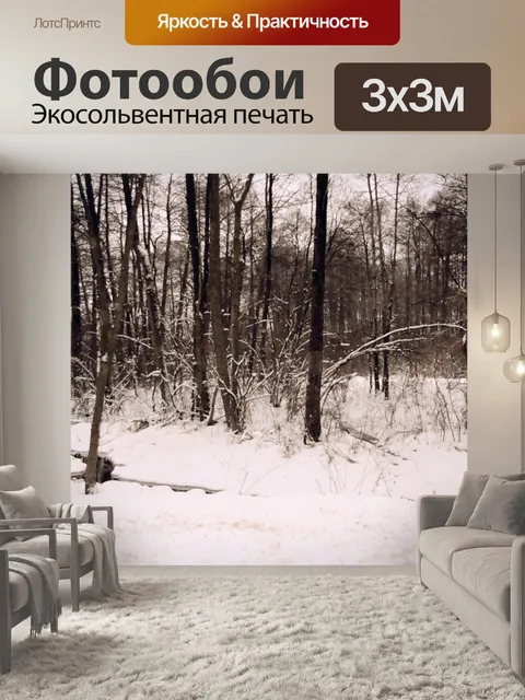 Фотообои Зимняя фотография около Люблина