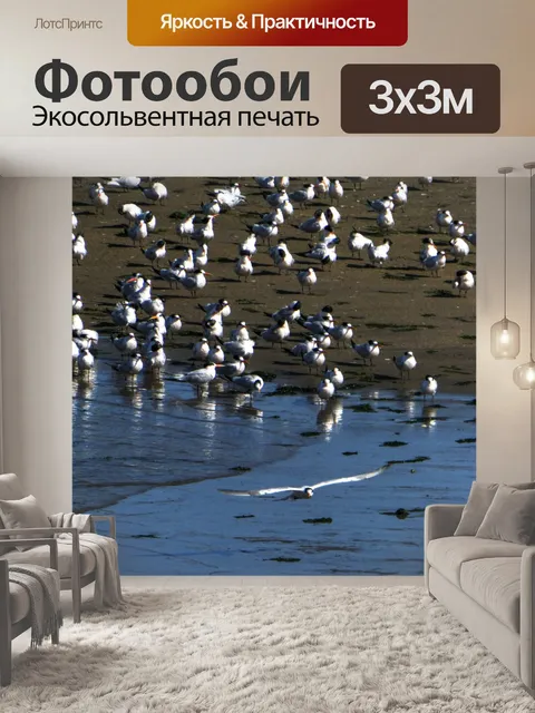 Фотообои Стая птиц