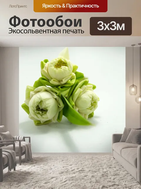 Фотообои Цветок белого лотоса