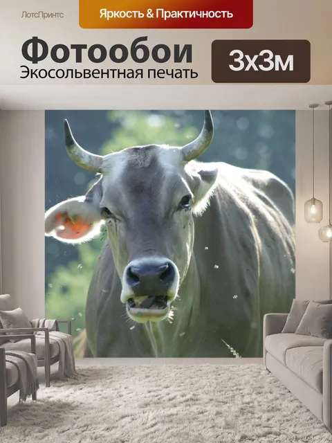 Фотообои Корова