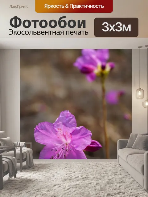 Фотообои Азалия