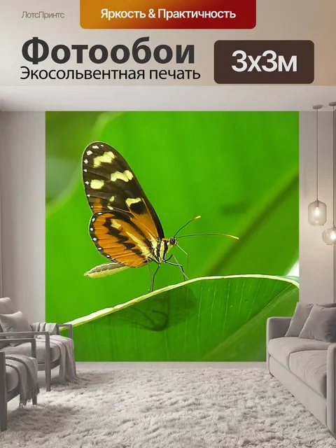 Фотообои Бабочка на листе