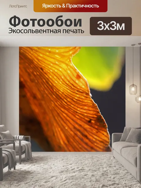 Фотообои обесцвеченный коричневатый гинкго билоба