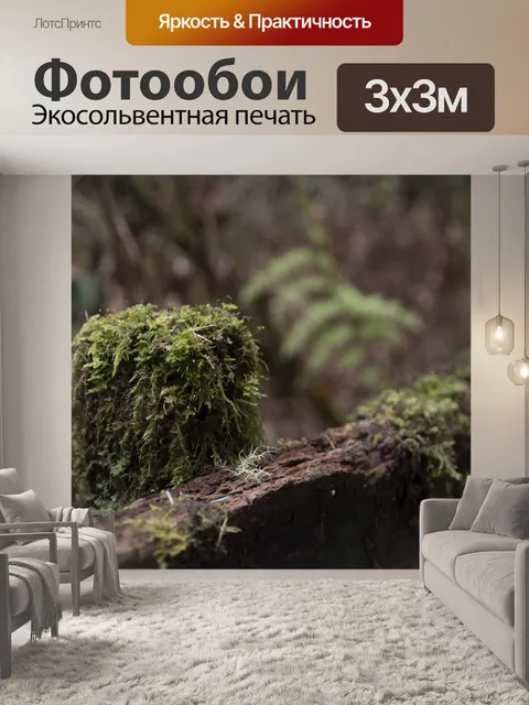 Фотообои Мосс покрытый забор