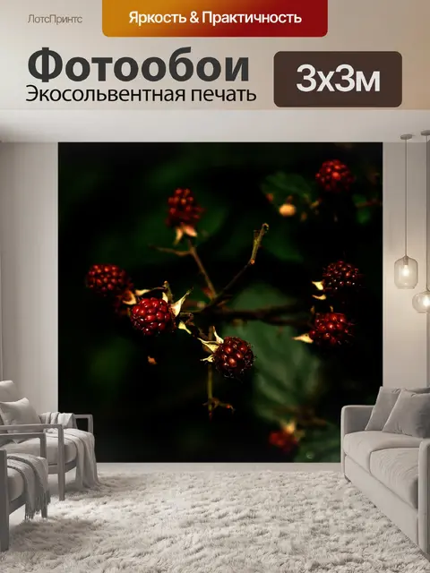 Фотообои Лесные ягоды