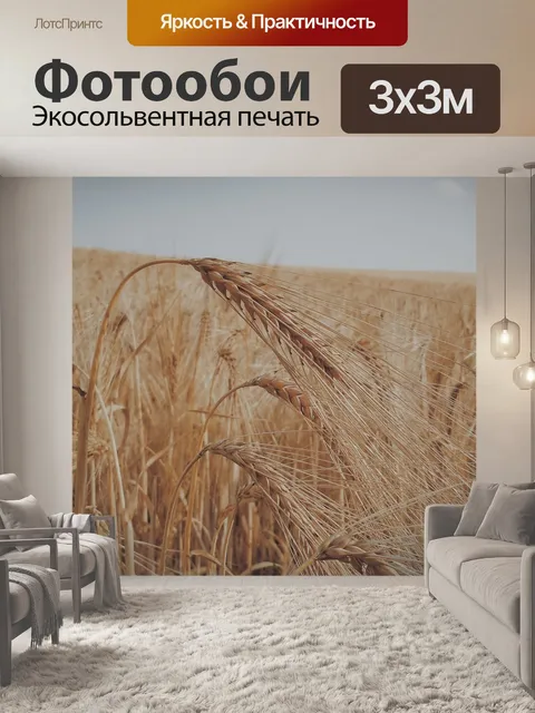 Фотообои Пшеница