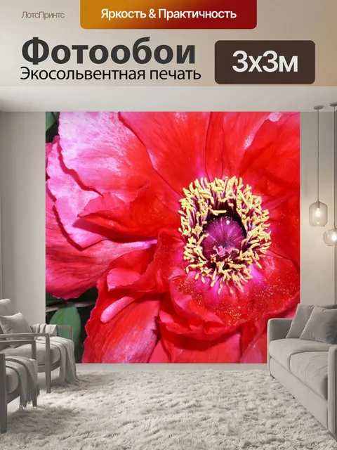 Фотообои Цветок