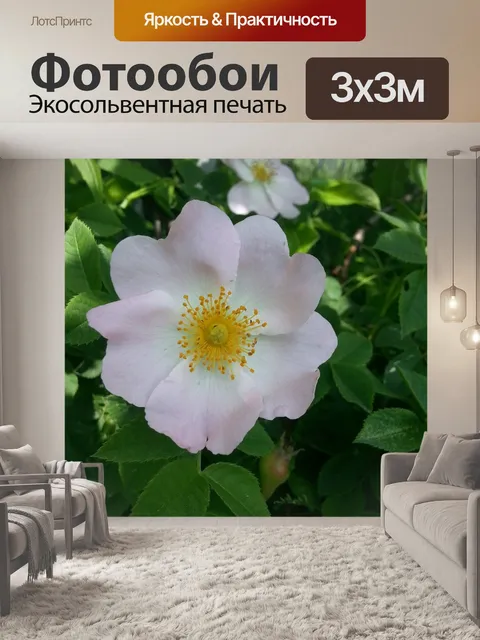 Фотообои Дача