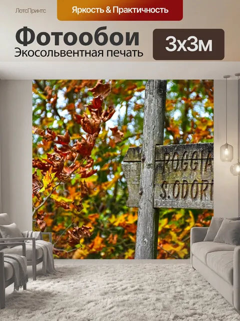 Фотообои Лес