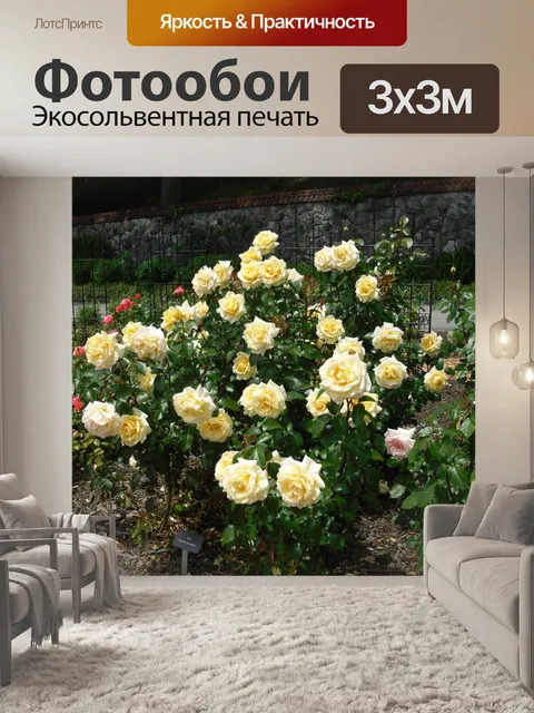 Фотообои Розы