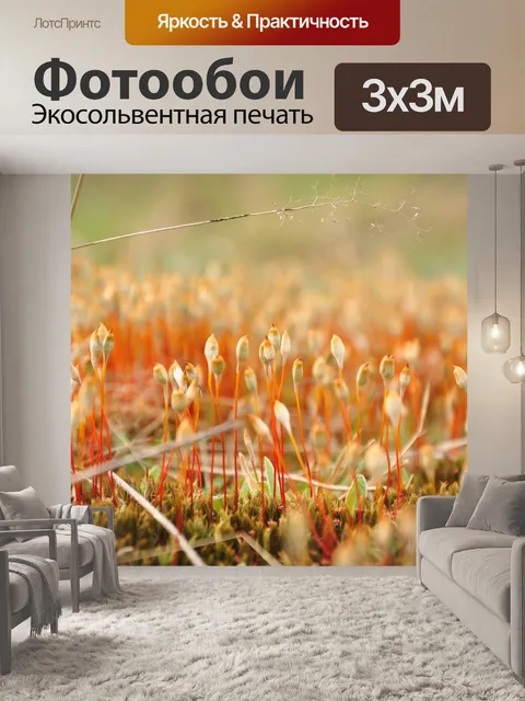 Фотообои Вниз