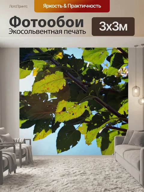 Фотообои яркие листья шелковицы