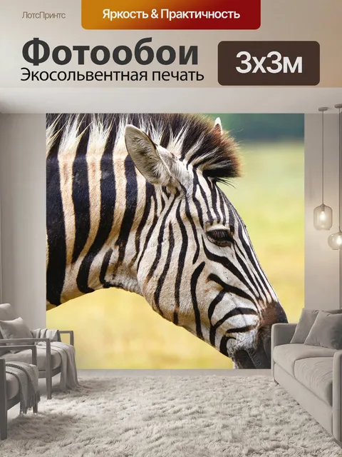Фотообои Зебра