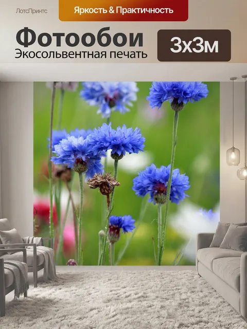 Фотообои Васильки
