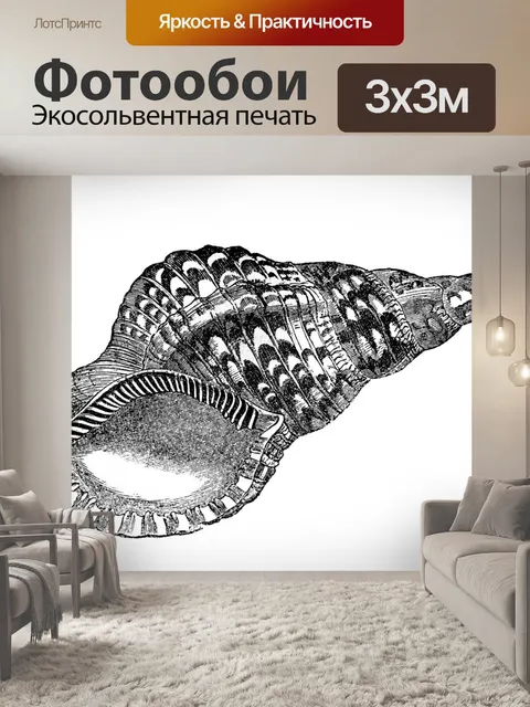 Фотообои Винтажное искусство ракушек старое