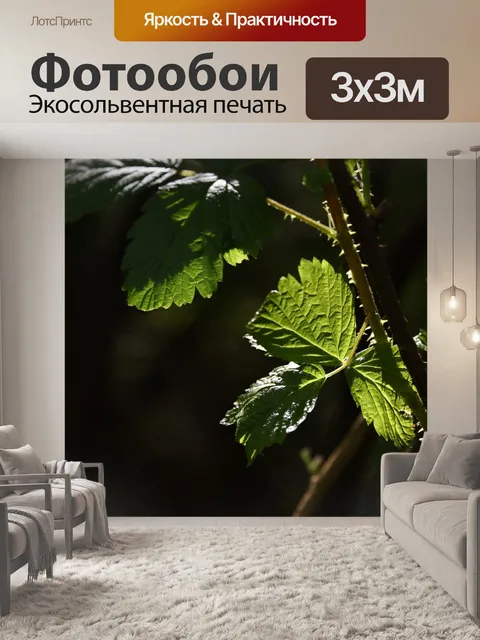 Фотообои Лист