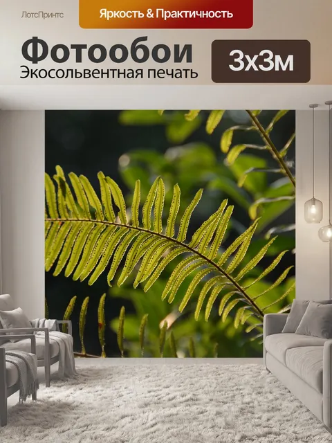 Фотообои Папоротник