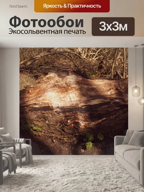 Фотообои Дерева крупным планом
