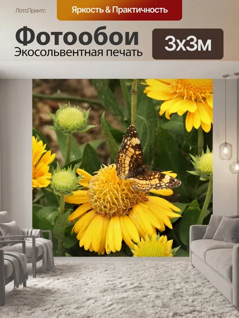 Фотообои Серебристая клетчатая бабочка 4