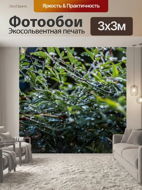 Фотообои Природа после дождя