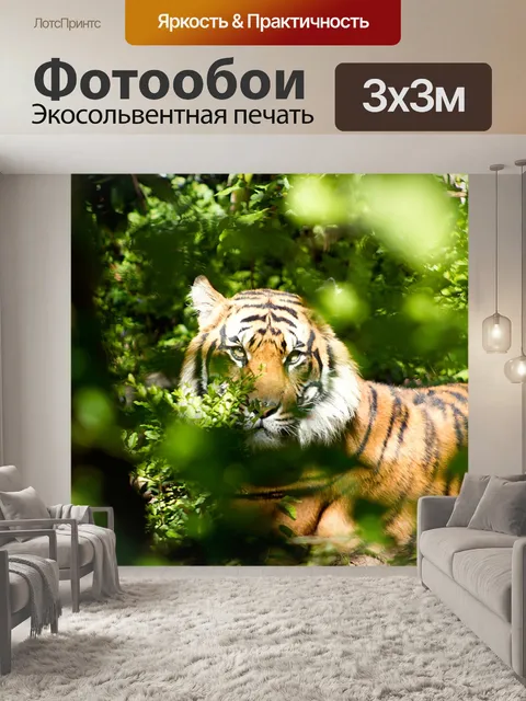 Фотообои Тигр
