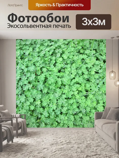Фотообои Мокрый Клевер патч