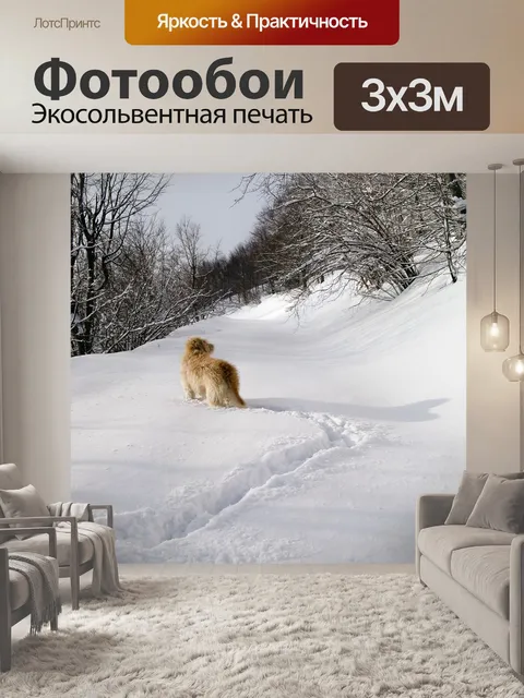 Фотообои Снег