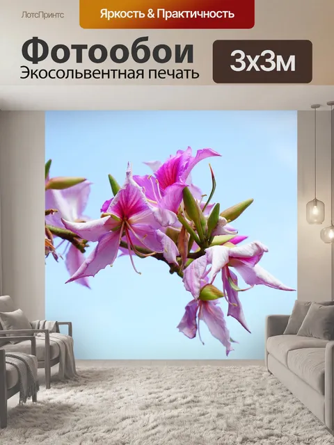 Фотообои Расцветает