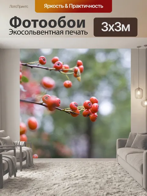 Фотообои Красный