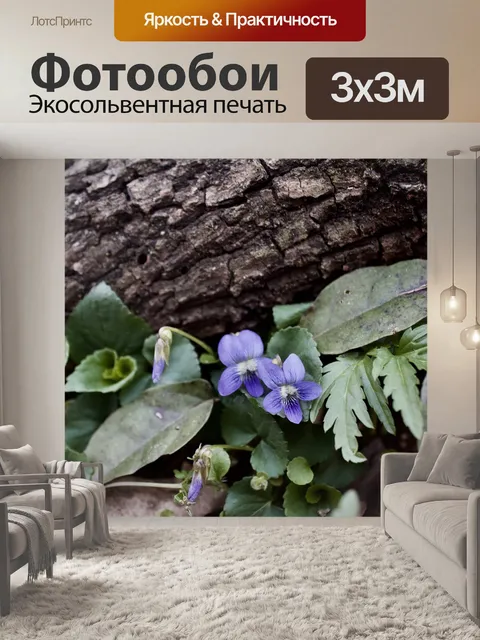 Фотообои Фиолетовый
