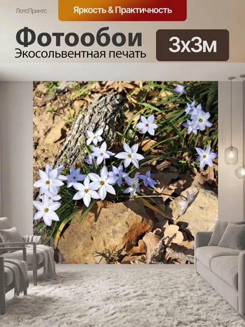 Фотообои Звезда Вифлеема Цветы 2