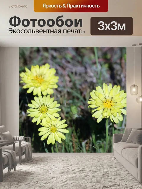 Фотообои Ложные Одуванчики Wildflowers Group