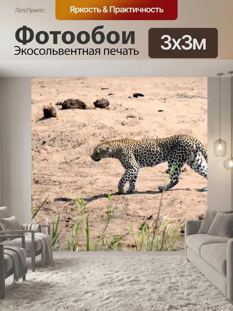 Фотообои Леопард