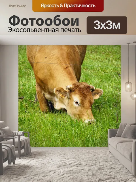 Фотообои Корова на коленях на лугу