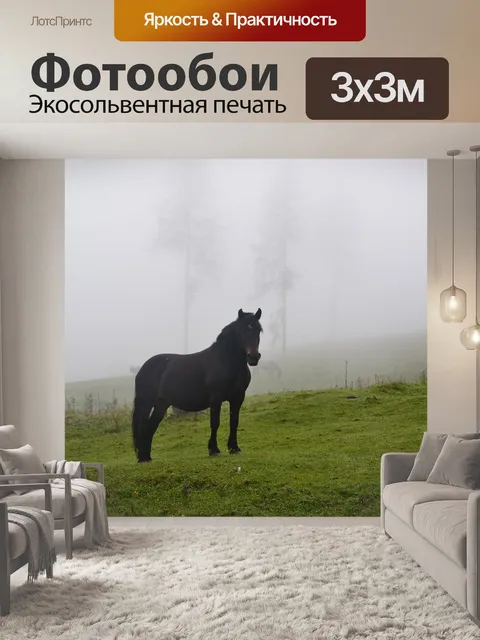 Фотообои Лошадь